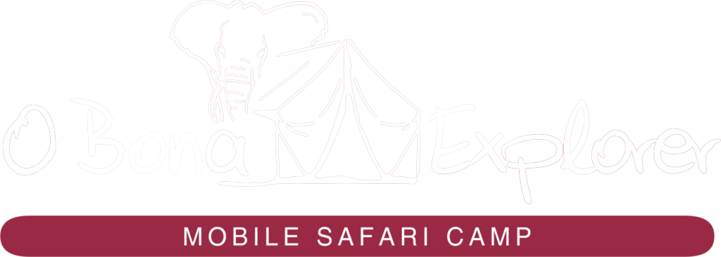 LogoEexplorerweiß Logo of O Bona Explorer - Mobile Safari Camp