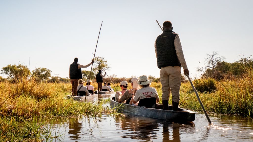 Guest photographing two elephants on a traditional Mokoro Safari in Khwai